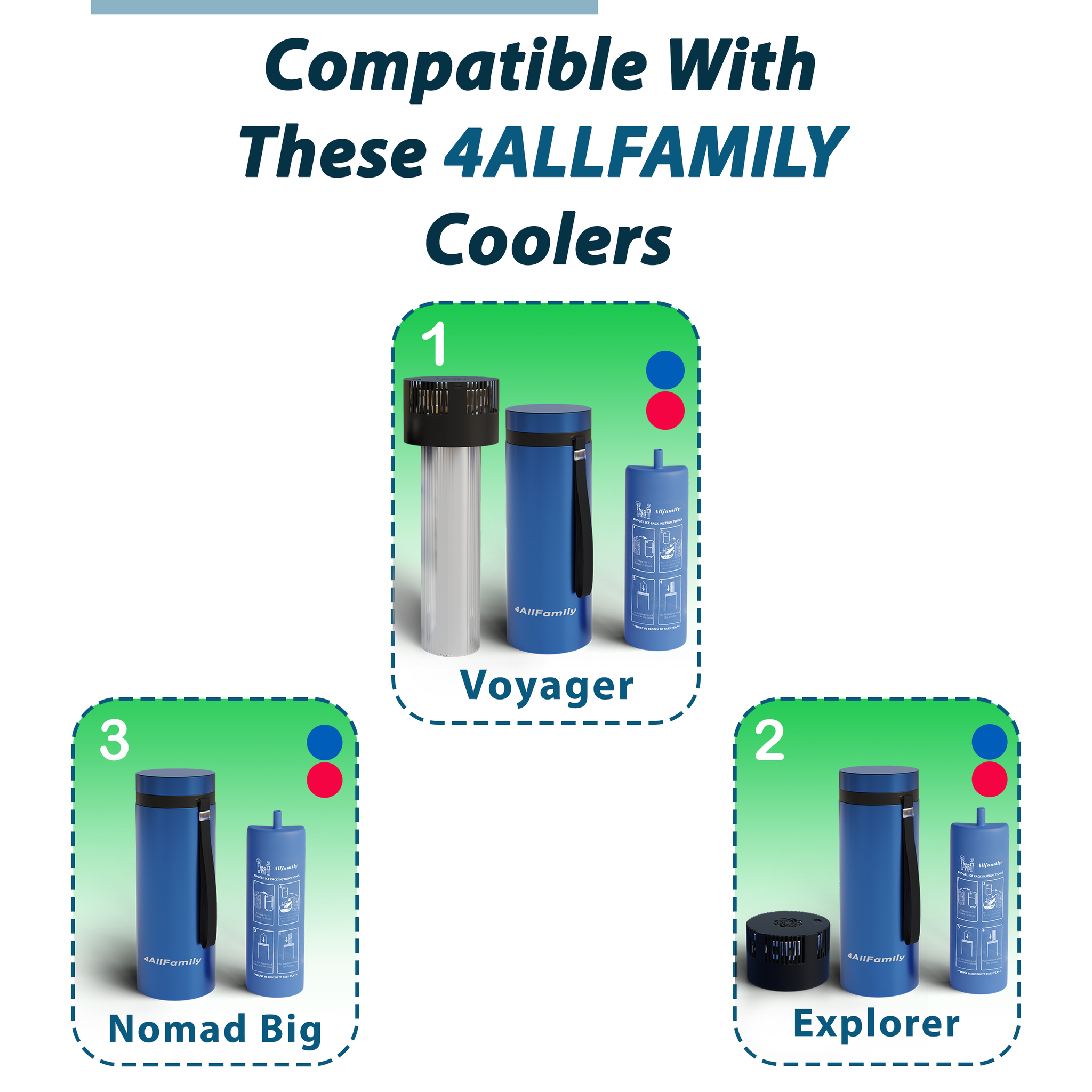 Big Buddy - Biogel Ice Pack for 4AllFamily Medicine Coolers - Big